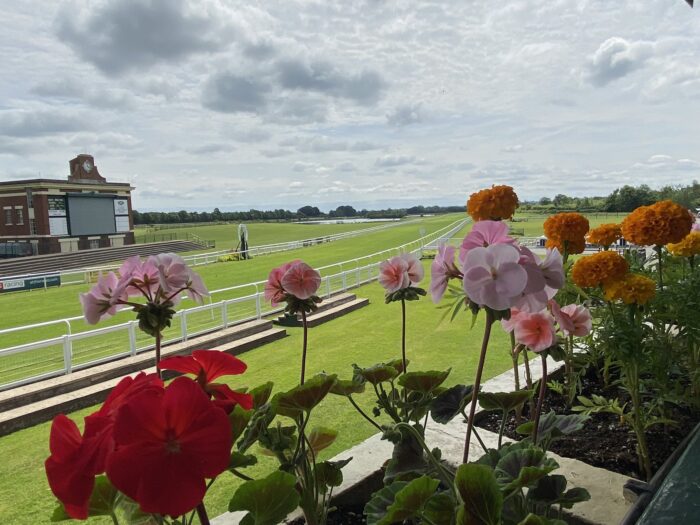 Ripon Racecourse | Half Price Pair of Paddock Tickets (29th July) - Image 4