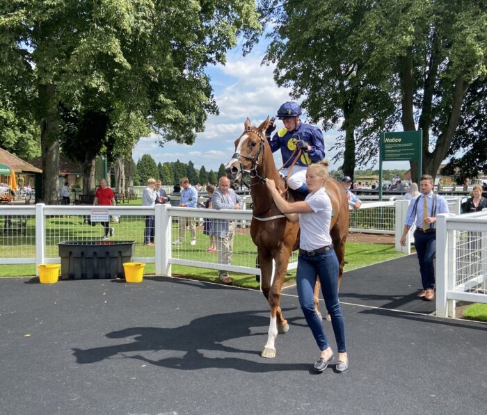 Ripon Racecourse | Half Price Pair of Paddock Tickets (29th July) - Image 3