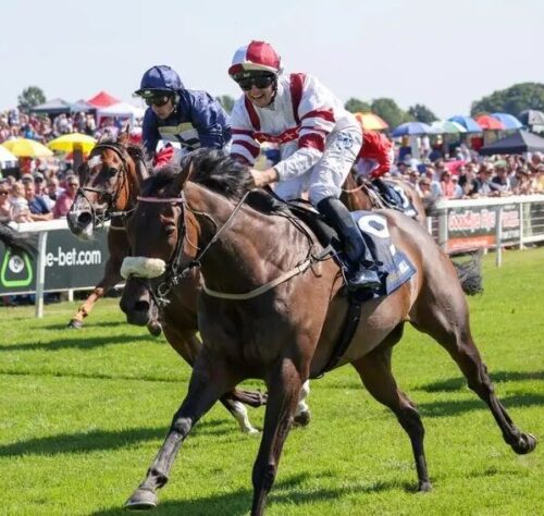 Ripon Racecourse | Half Price Pair of Paddock Tickets (29th July)