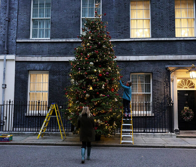 Yorkshire Vet to host competition for Downing Street Christmas tree 