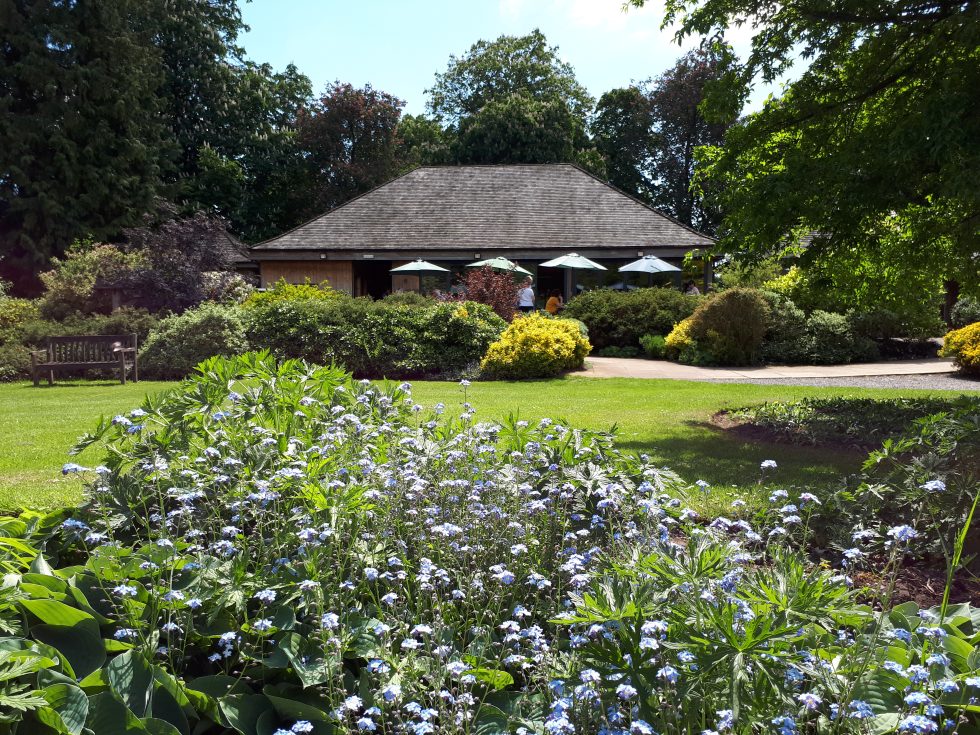 Thorp Perrow Arboretum | Half price family ticket - Your Harrogate