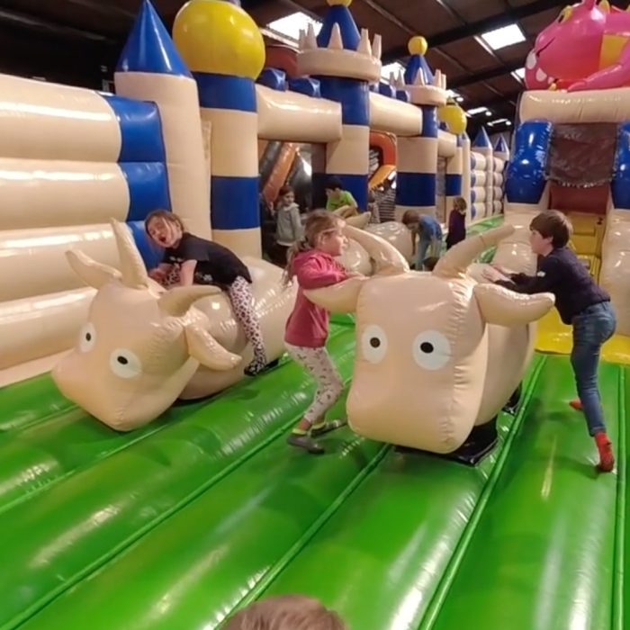 Harrogate Bounce - Half Price Family ticket - Image 3