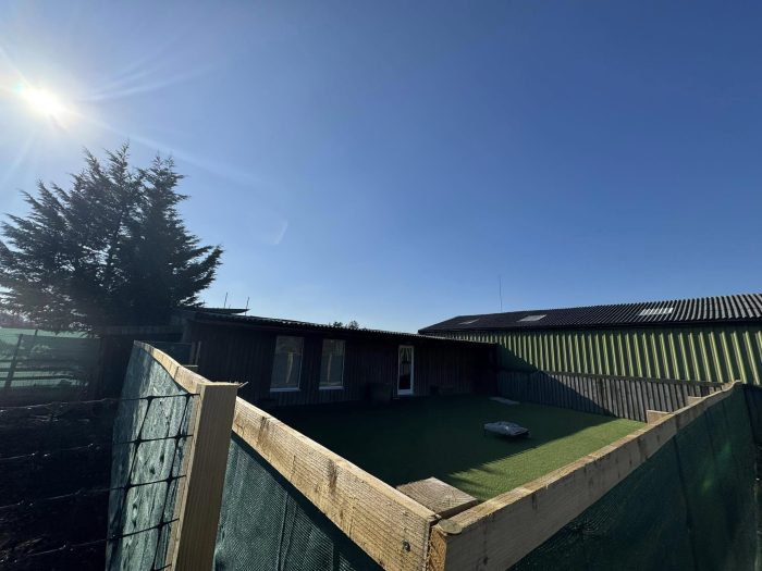 Birstwith Barkyard Harrogate | Half Price Dog Day Care - Image 3