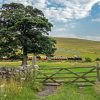 Embsay & Bolton Abbey Steam Railway | Half price family ticket - Image 4
