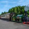 Embsay & Bolton Abbey Steam Railway | Half price family ticket - Image 8