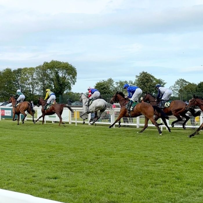 Ripon Racecourse | Half Price Pair of Paddock Tickets (26th August)