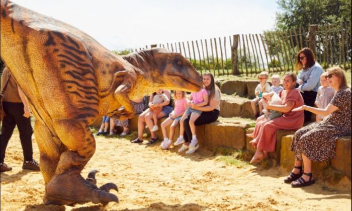 Piglets Adventure Farm Summer of Adventure | Half Price family entry - Image 2