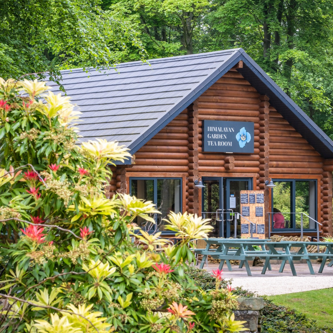 Himalayan Garden & Sculpture Park | Half price family ticket - Image 3