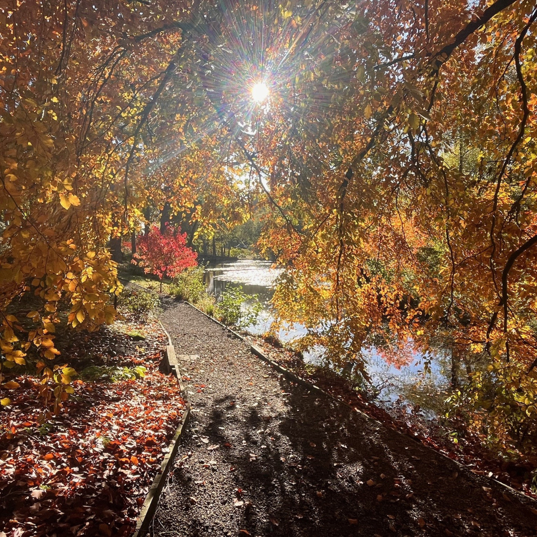 Himalayan Garden & Sculpture Park | Half price family ticket - Image 6