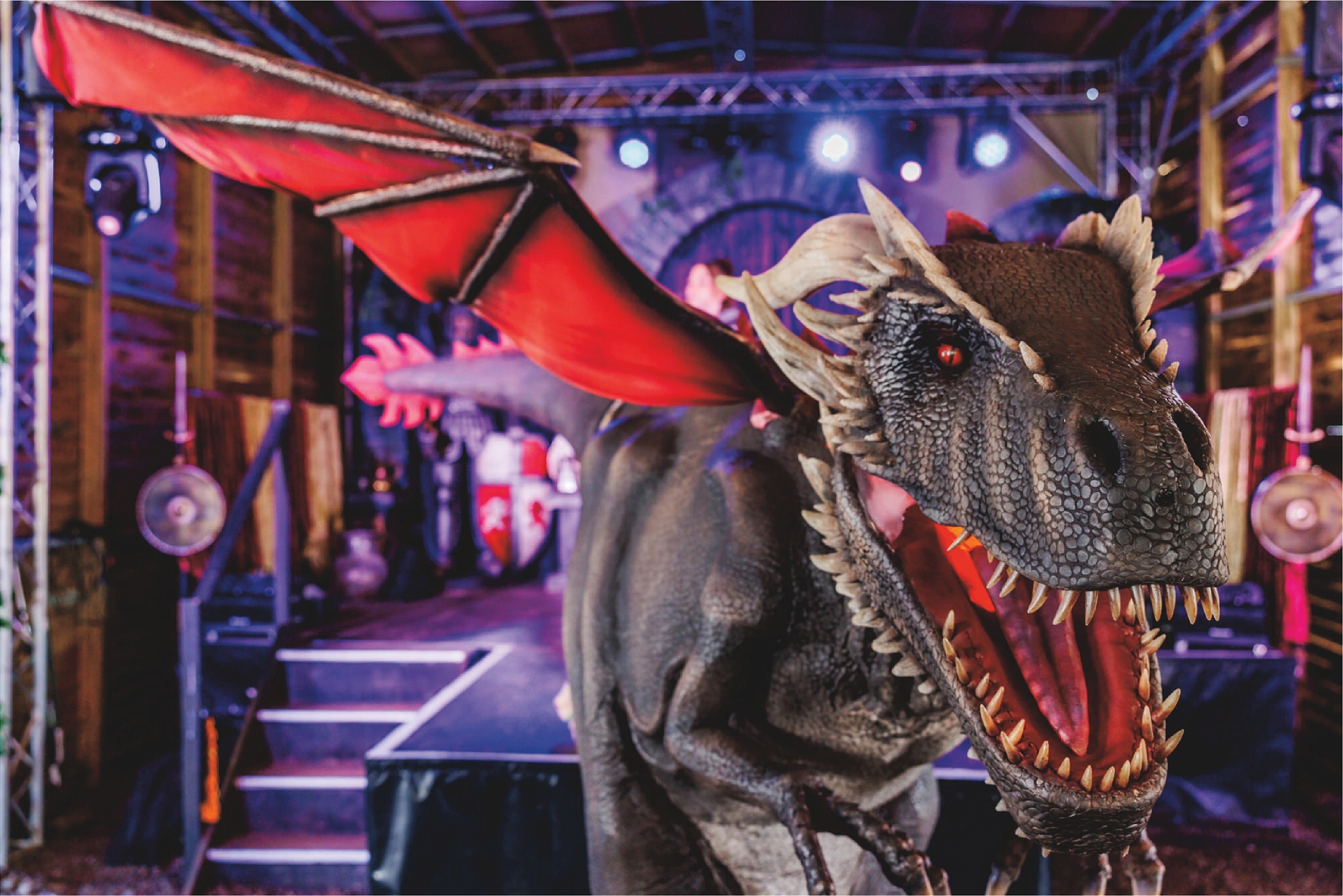 Half price family tickets for Festival of Fun | Thornton Hall Country Park - Image 7